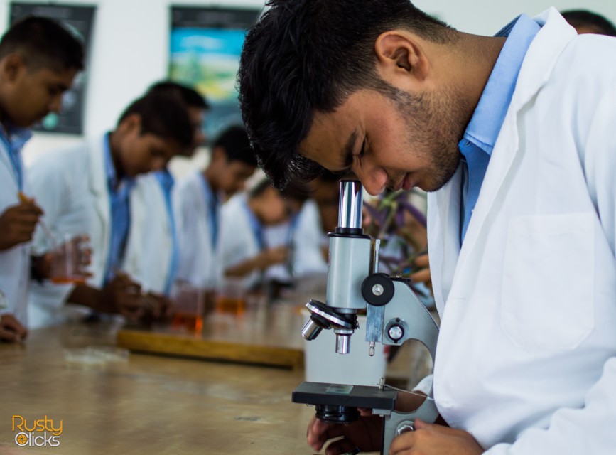 Gallery Image by Rusty Clicks