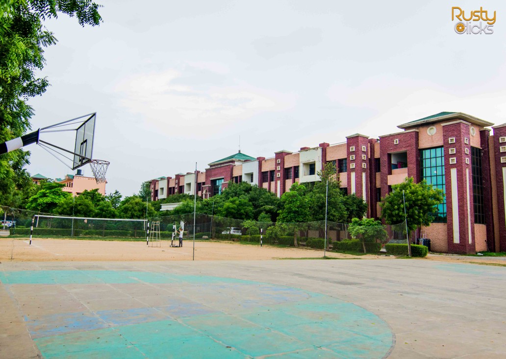 Gallery Image by Rusty Clicks