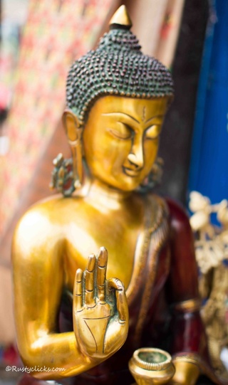 Gallery Image by Rusty Clicks