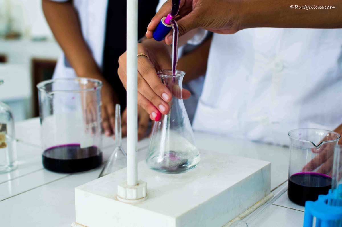 Gallery Image by Rusty Clicks