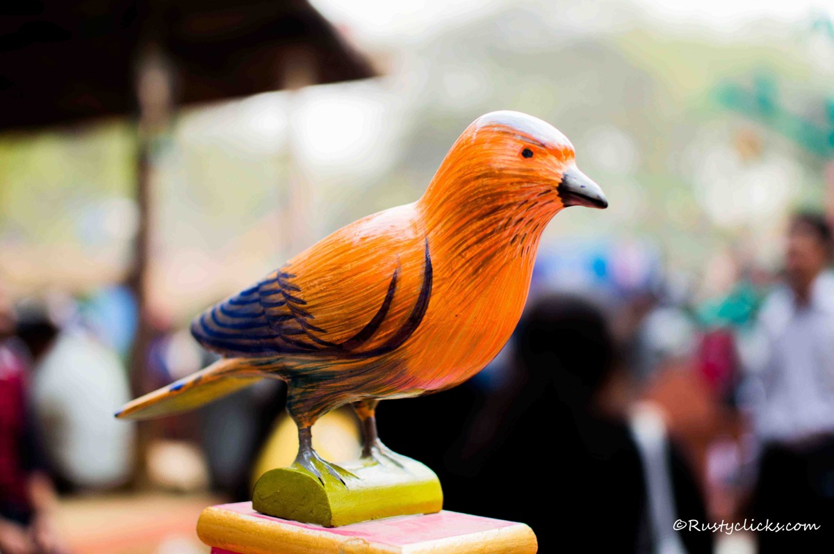 Gallery Image by Rusty Clicks