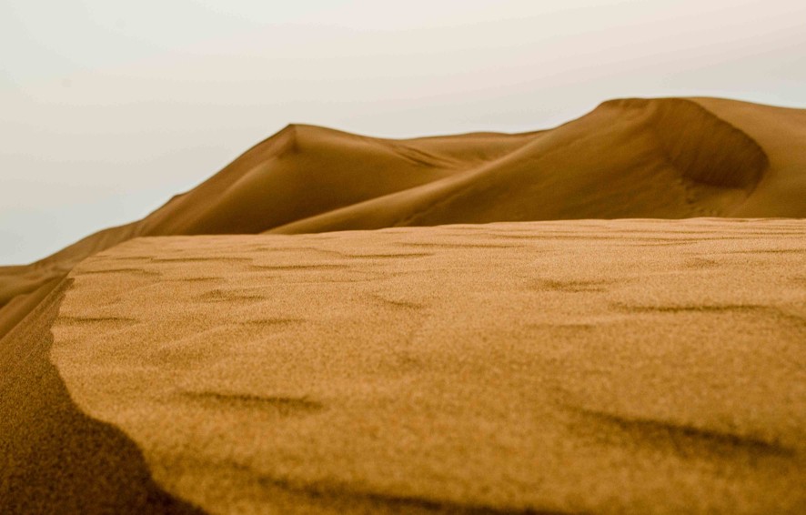 Gallery Image by Rusty Clicks