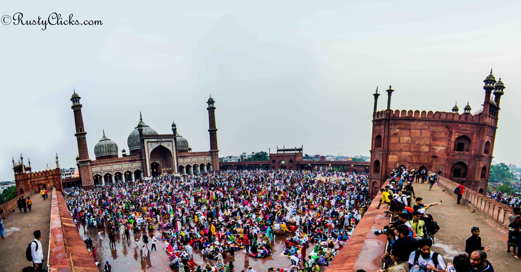 Gallery Image by Rusty Clicks